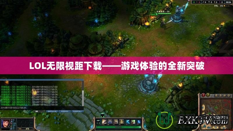 LOL無限視距下載——游戲體驗的全新突破