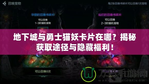 地下城與勇士貓妖卡片在哪？揭秘獲取途徑與隱藏福利！