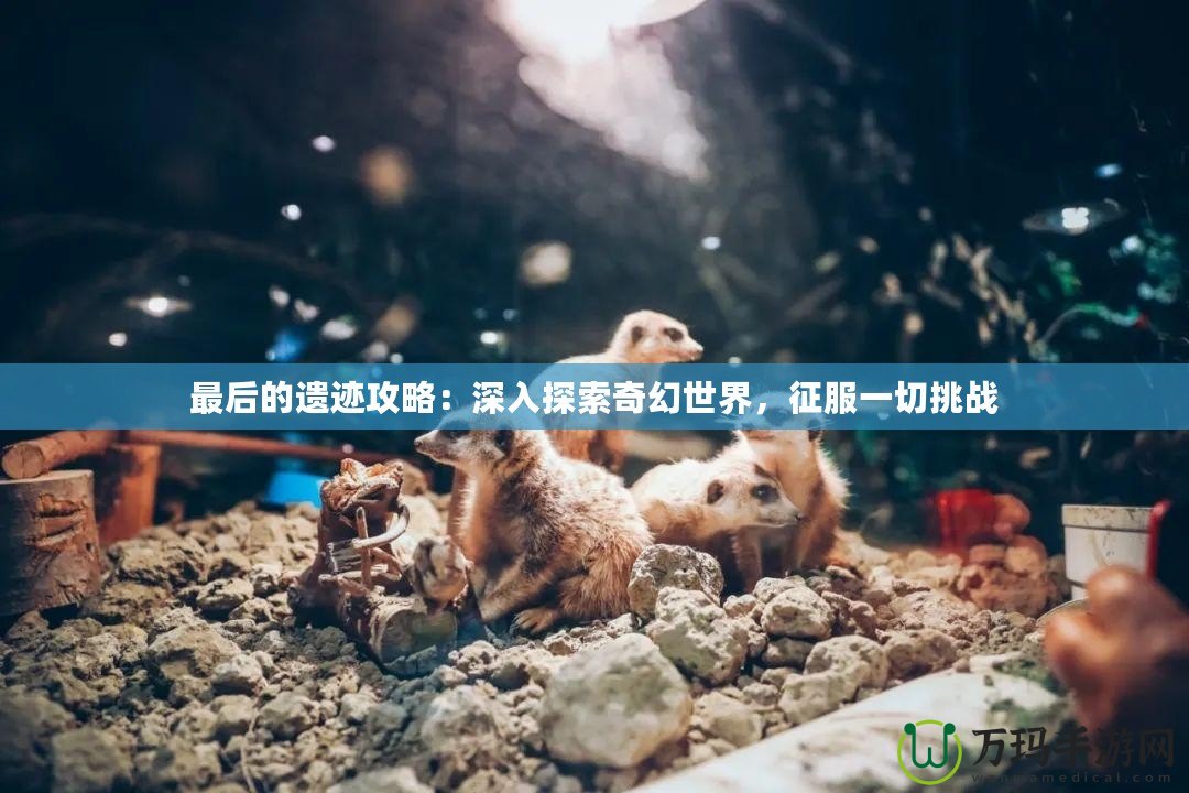 最后的遺跡攻略：深入探索奇幻世界，征服一切挑戰(zhàn)