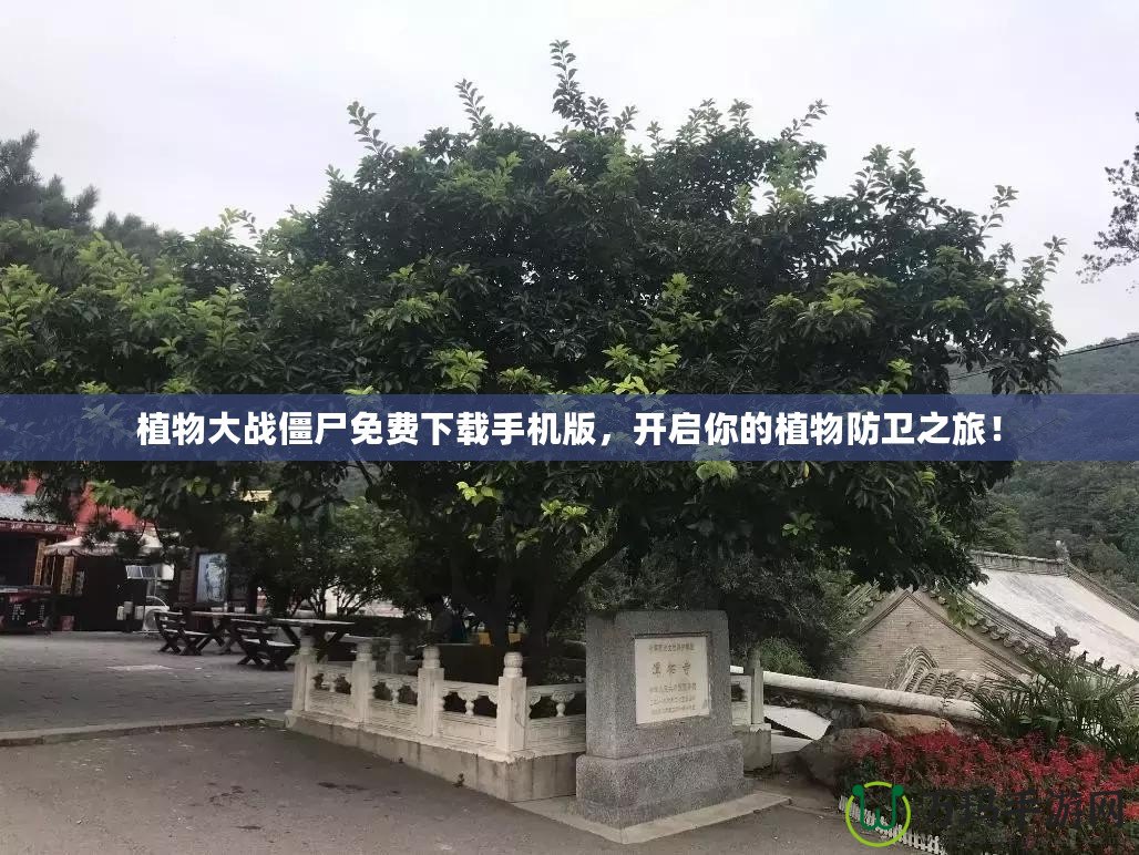 植物大戰(zhàn)僵尸免費下載手機版，開啟你的植物防衛(wèi)之旅！