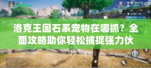 洛克王國石系寵物在哪抓？全面攻略助你輕松捕捉強(qiáng)力伙伴