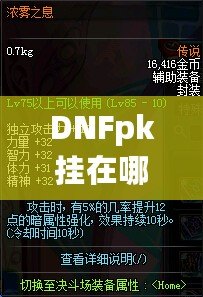 DNFpk掛在哪下載？教你如何安全、快速地獲取最強PK輔助！