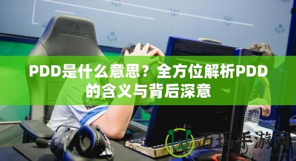 PDD是什么意思？全方位解析PDD的含義與背后深意