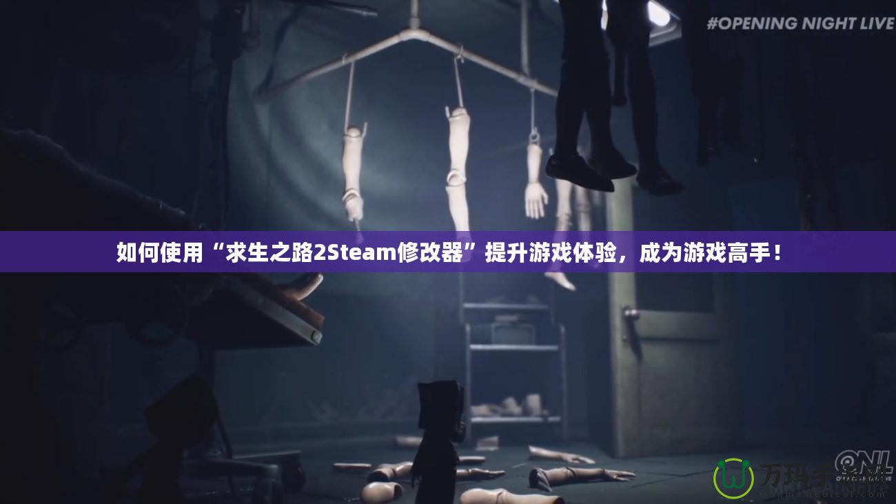 如何使用“求生之路2Steam修改器”提升游戲體驗(yàn)，成為游戲高手！