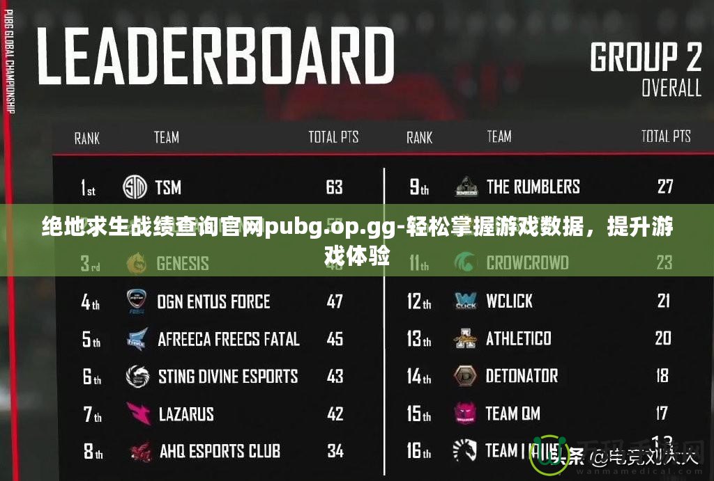 絕地求生戰(zhàn)績(jī)查詢官網(wǎng)pubg.op.gg-輕松掌握游戲數(shù)據(jù)，提升游戲體驗(yàn)