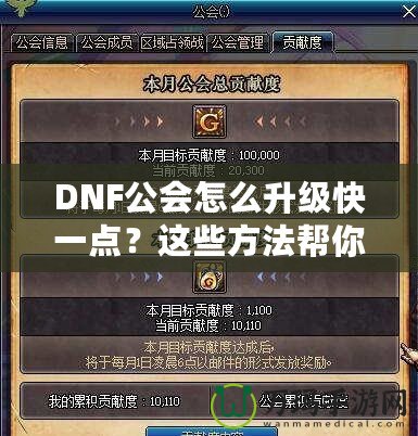 DNF公會(huì)怎么升級(jí)快一點(diǎn)？這些方法幫你事半功倍！