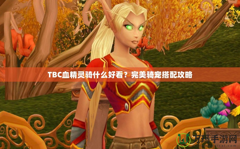 TBC血精靈騎什么好看？完美騎寵搭配攻略