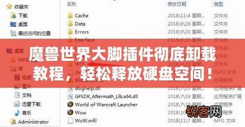 魔獸世界大腳插件徹底卸載教程，輕松釋放硬盤空間！