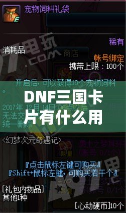 DNF三國卡片有什么用？探索其強大魅力與游戲內(nèi)外的價值