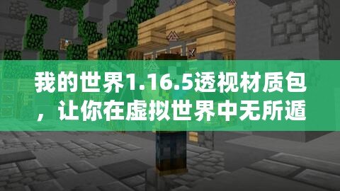 我的世界1.16.5透視材質(zhì)包，讓你在虛擬世界中無(wú)所遁形