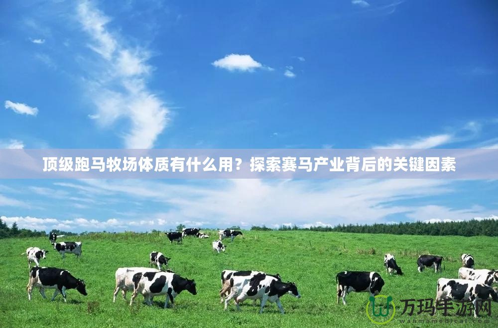 頂級(jí)跑馬牧場(chǎng)體質(zhì)有什么用？探索賽馬產(chǎn)業(yè)背后的關(guān)鍵因素