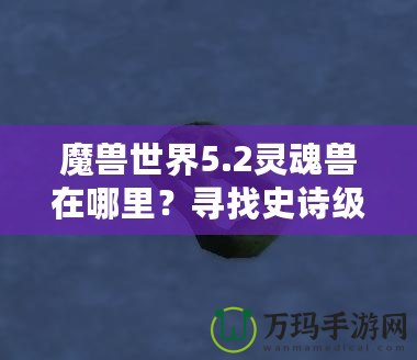 魔獸世界5.2靈魂獸在哪里？尋找史詩級寵物的終極指南