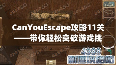 CanYouEscape攻略11關(guān)——帶你輕松突破游戲挑戰(zhàn)！