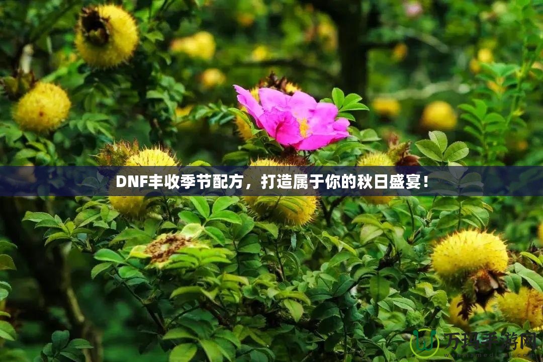 DNF豐收季節(jié)配方，打造屬于你的秋日盛宴！