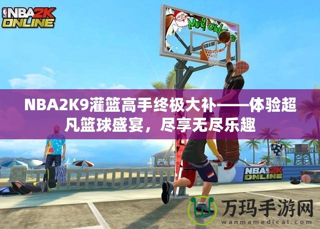 NBA2K9灌籃高手終極大補(bǔ)——體驗(yàn)超凡籃球盛宴，盡享無(wú)盡樂(lè)趣