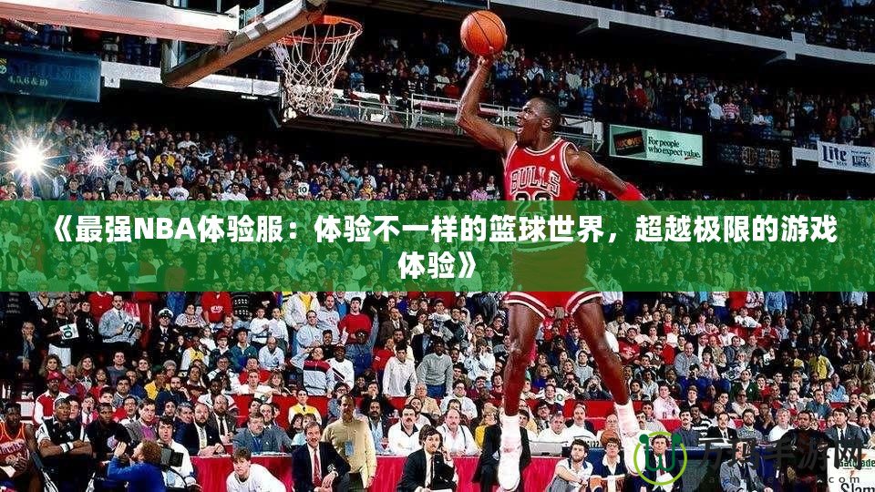 《最強NBA體驗服：體驗不一樣的籃球世界，超越極限的游戲體驗》