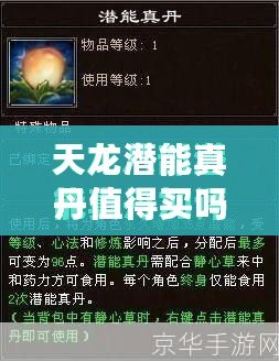 天龍潛能真丹值得買嗎？揭秘其真正效果與價(jià)值