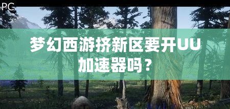 夢(mèng)幻西游擠新區(qū)要開UU加速器嗎？