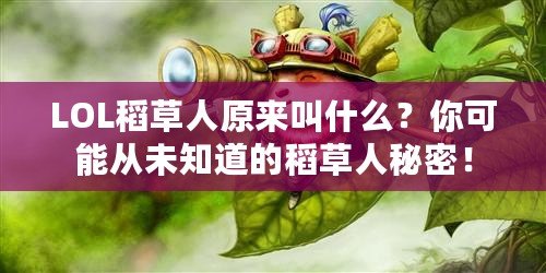 LOL稻草人原來叫什么？你可能從未知道的稻草人秘密！