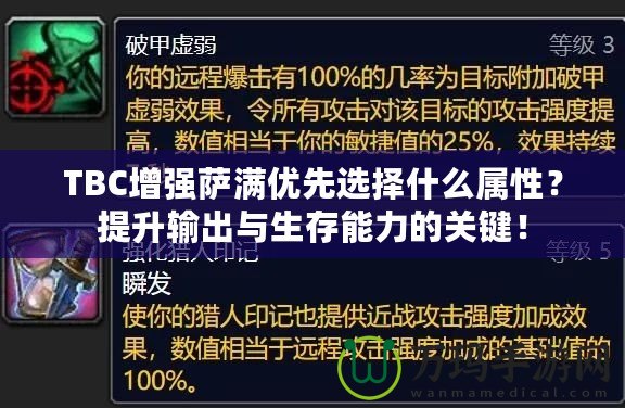 TBC增強(qiáng)薩滿優(yōu)先選擇什么屬性？提升輸出與生存能力的關(guān)鍵！