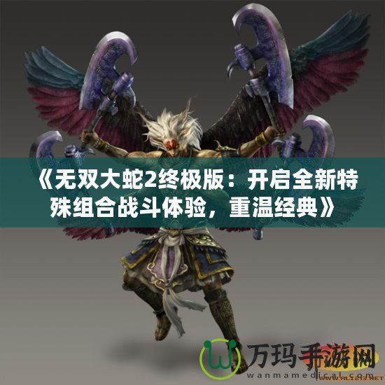 《無(wú)雙大蛇2終極版：開(kāi)啟全新特殊組合戰(zhàn)斗體驗(yàn)，重溫經(jīng)典》