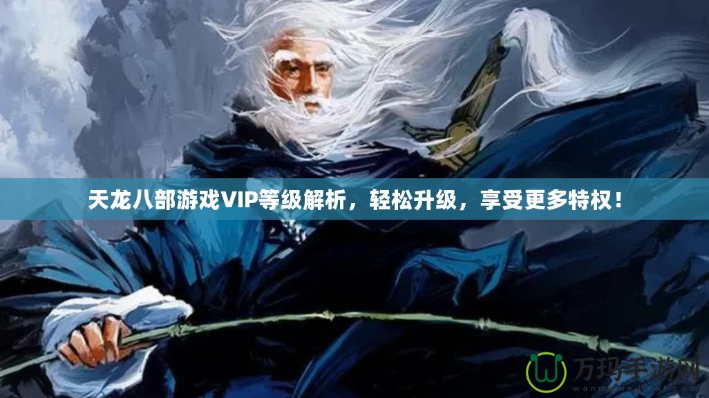 天龍八部游戲VIP等級解析，輕松升級，享受更多特權(quán)！