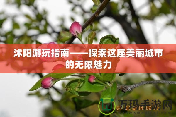 沭陽游玩指南——探索這座美麗城市的無限魅力