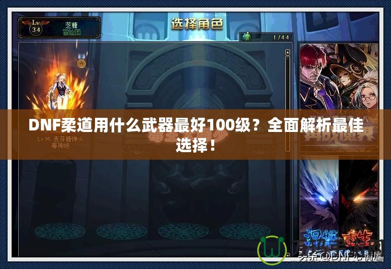 DNF柔道用什么武器最好100級？全面解析最佳選擇！