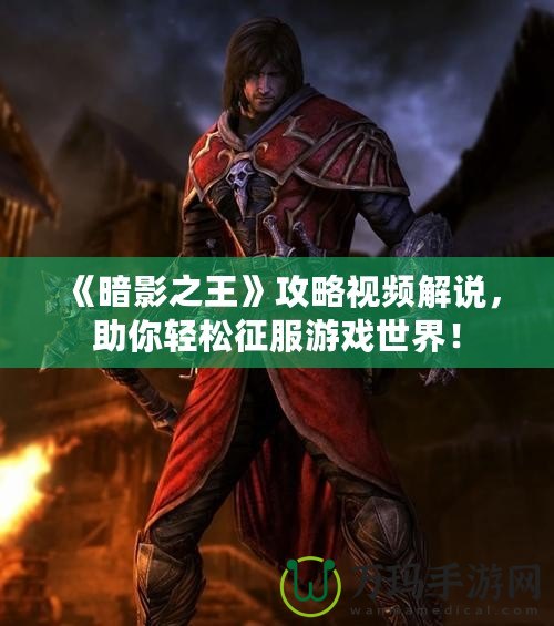 《暗影之王》攻略視頻解說，助你輕松征服游戲世界！