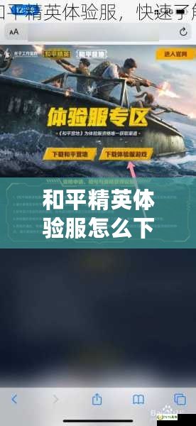 和平精英體驗(yàn)服怎么下載視頻教程，輕松獲取最新游戲體驗(yàn)！