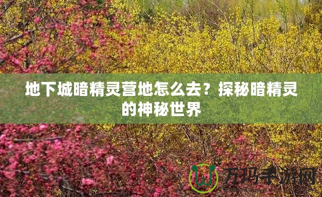 地下城暗精靈營(yíng)地怎么去？探秘暗精靈的神秘世界