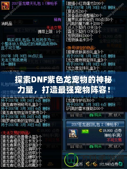 探索DNF紫色龍寵物的神秘力量，打造最強(qiáng)寵物陣容！