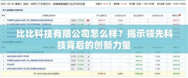 比比科技有限公司怎么樣？揭示領(lǐng)先科技背后的創(chuàng)新力量