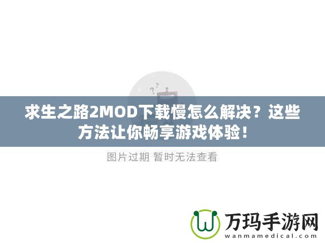 求生之路2MOD下載慢怎么解決？這些方法讓你暢享游戲體驗(yàn)！