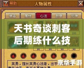 天書奇談刺客后期練什么技能，助你制霸江湖！