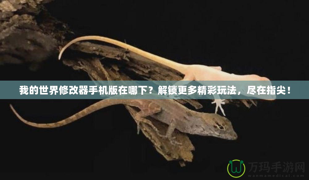 我的世界修改器手機版在哪下？解鎖更多精彩玩法，盡在指尖！