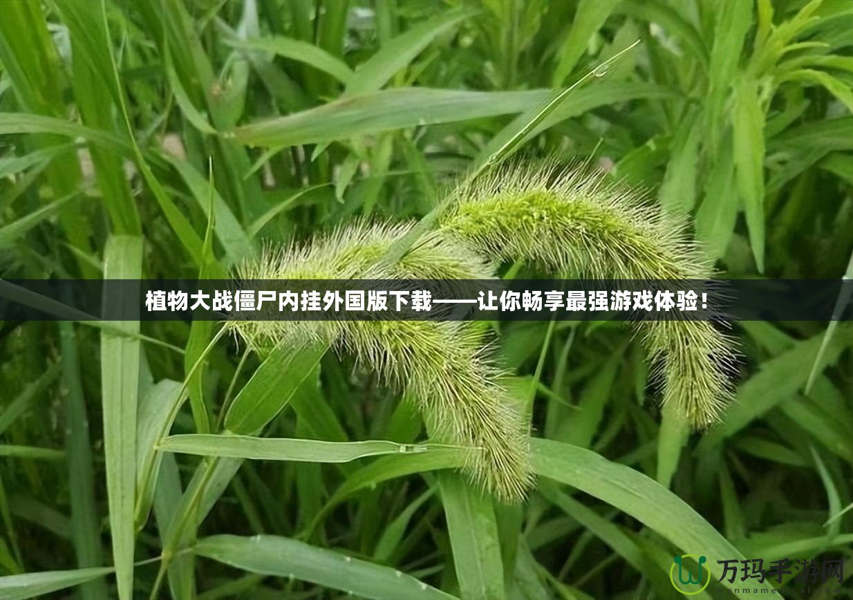 植物大戰(zhàn)僵尸內(nèi)掛外國(guó)版下載——讓你暢享最強(qiáng)游戲體驗(yàn)！