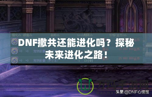 DNF撒共還能進(jìn)化嗎？探秘未來進(jìn)化之路！