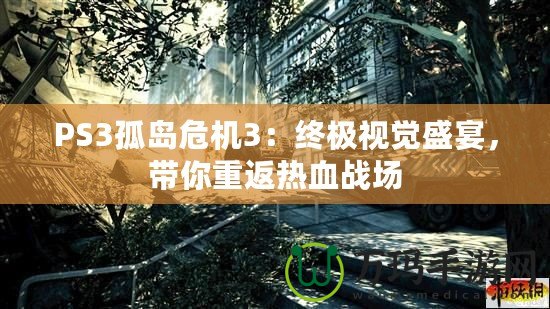 PS3孤島危機(jī)3：終極視覺盛宴，帶你重返熱血戰(zhàn)場