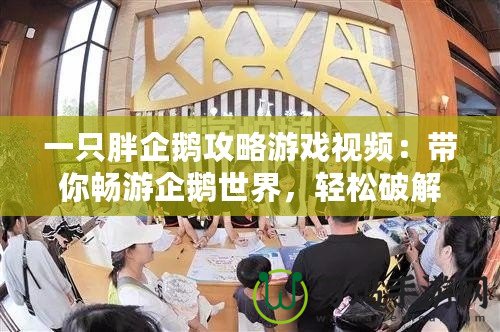 一只胖企鵝攻略游戲視頻：帶你暢游企鵝世界，輕松破解所有關(guān)卡！