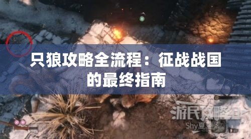 只狼攻略全流程：征戰(zhàn)戰(zhàn)國(guó)的最終指南