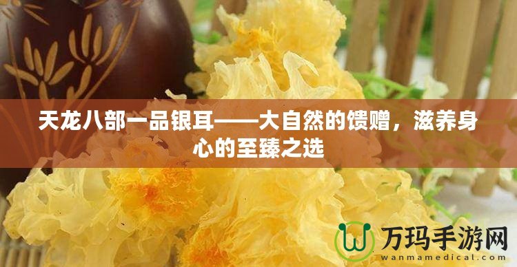 天龍八部一品銀耳——大自然的饋贈(zèng)，滋養(yǎng)身心的至臻之選