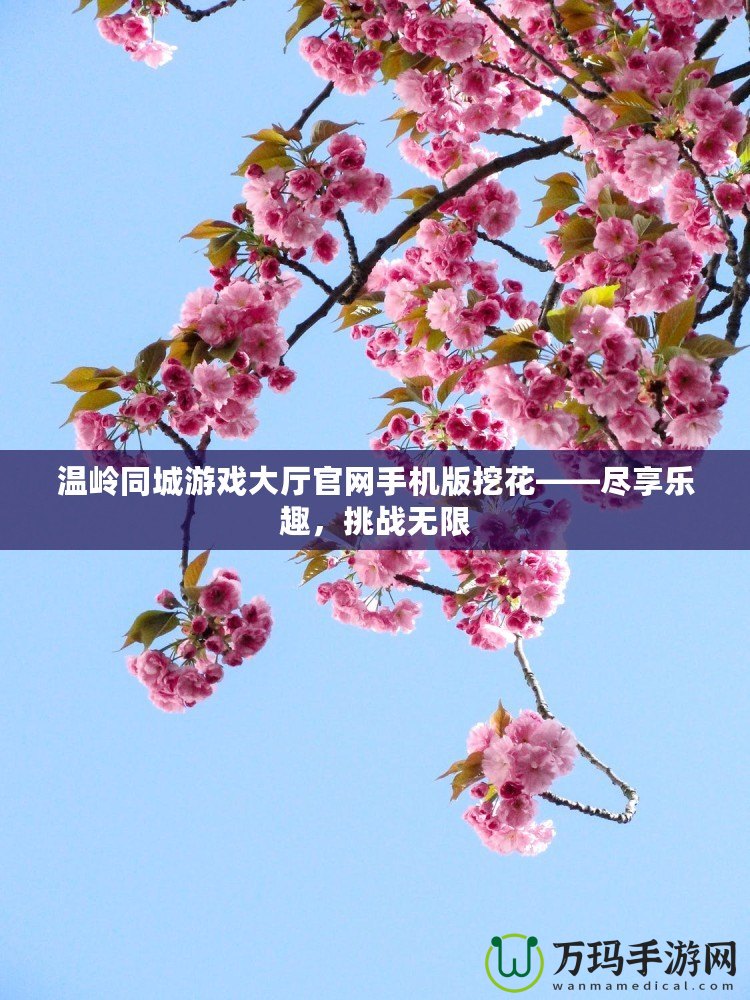 溫嶺同城游戲大廳官網(wǎng)手機(jī)版挖花——盡享樂(lè)趣，挑戰(zhàn)無(wú)限