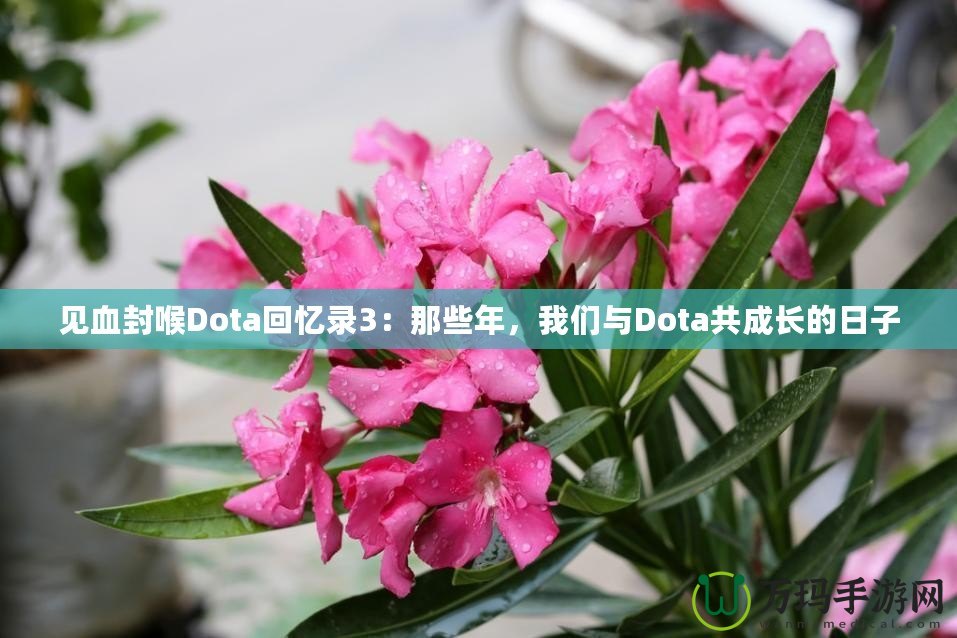 見(jiàn)血封喉Dota回憶錄3：那些年，我們與Dota共成長(zhǎng)的日子