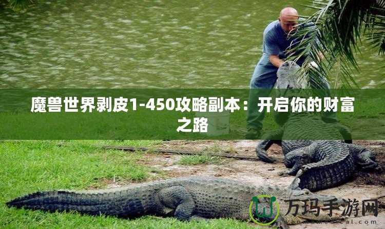 魔獸世界剝皮1-450攻略副本：開(kāi)啟你的財(cái)富之路