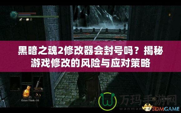 黑暗之魂2修改器會封號嗎？揭秘游戲修改的風險與應對策略